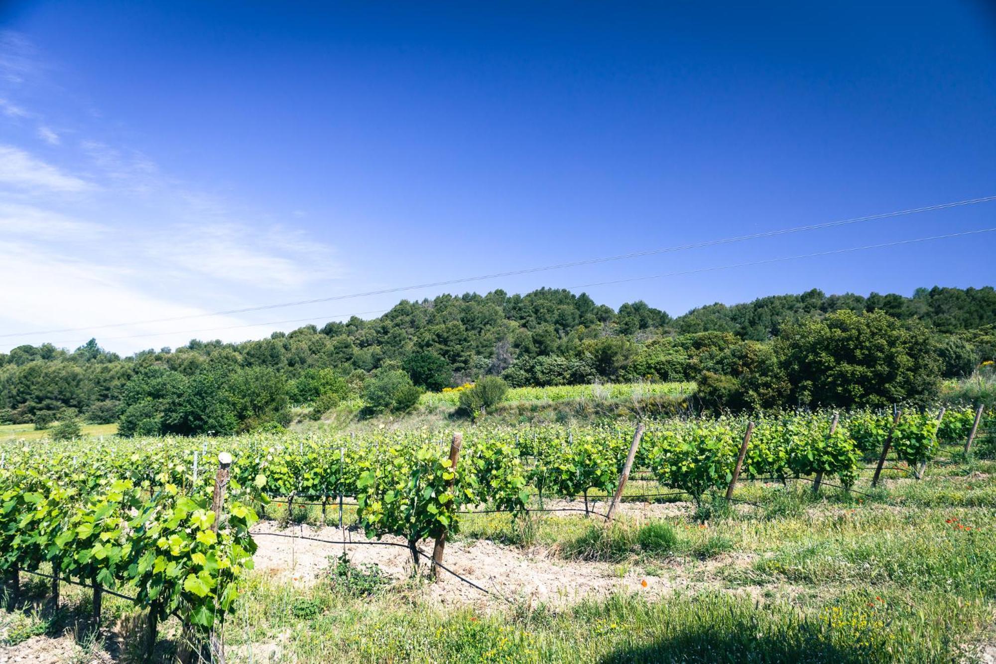 Domaine Des Peyre Daire Robion en Luberon Dış mekan fotoğraf