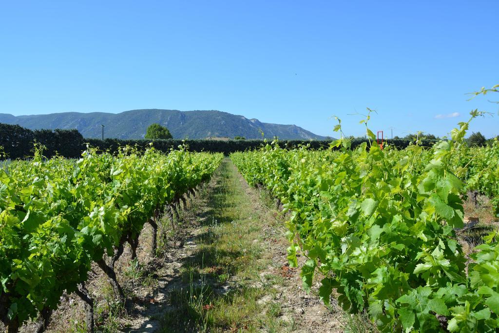 Domaine Des Peyre Daire Robion en Luberon Dış mekan fotoğraf